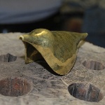 step6