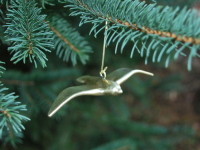 bird1